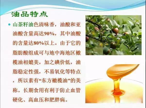 山茶油的食用方法和功效与禁忌