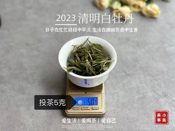 福鼎白茶多少钱一斤特级