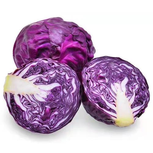 紫色包菜叫什么