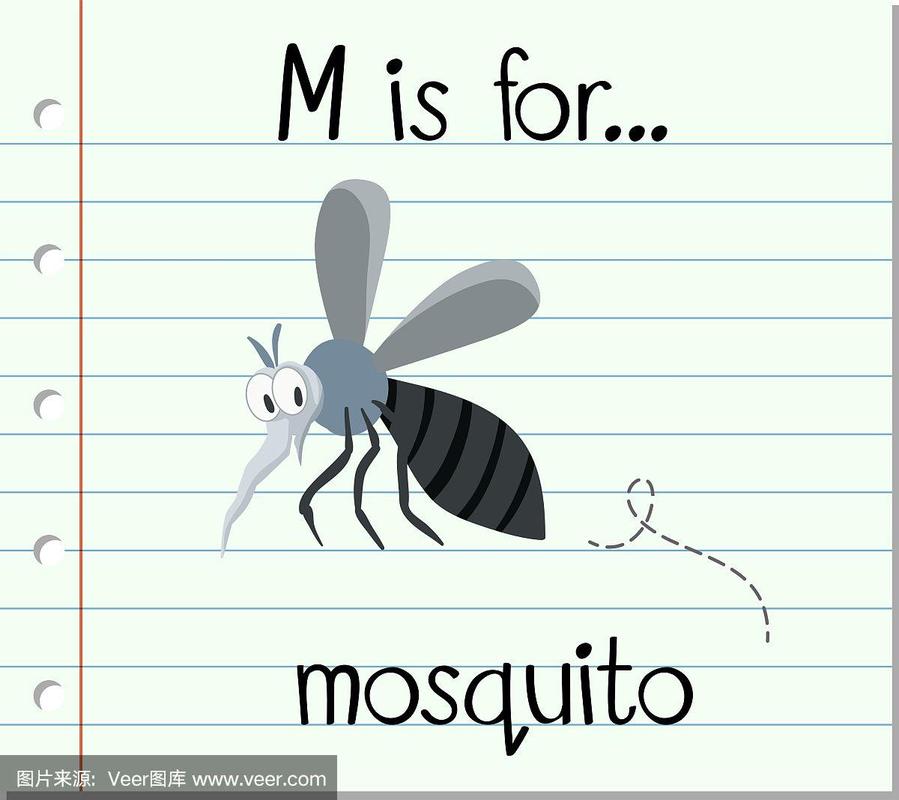 蚊子的英语