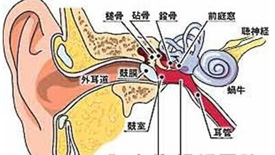 血管搏动性耳鸣
