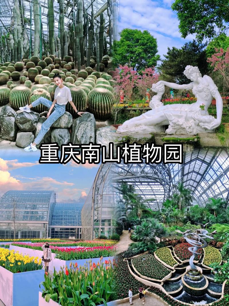 重庆南山植物园游玩攻略