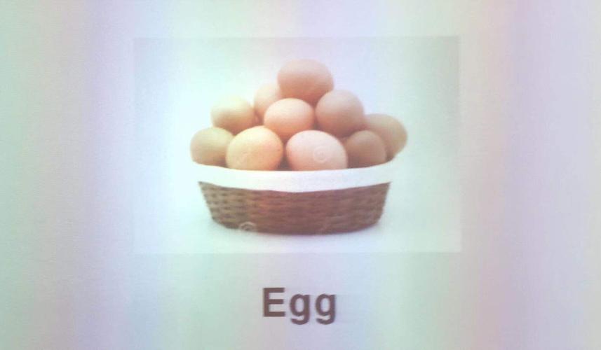 鸡蛋的英语