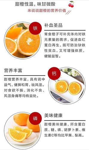橙子的营养的相关图片