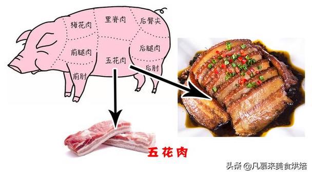 母猪肉怎么辨别的相关图片