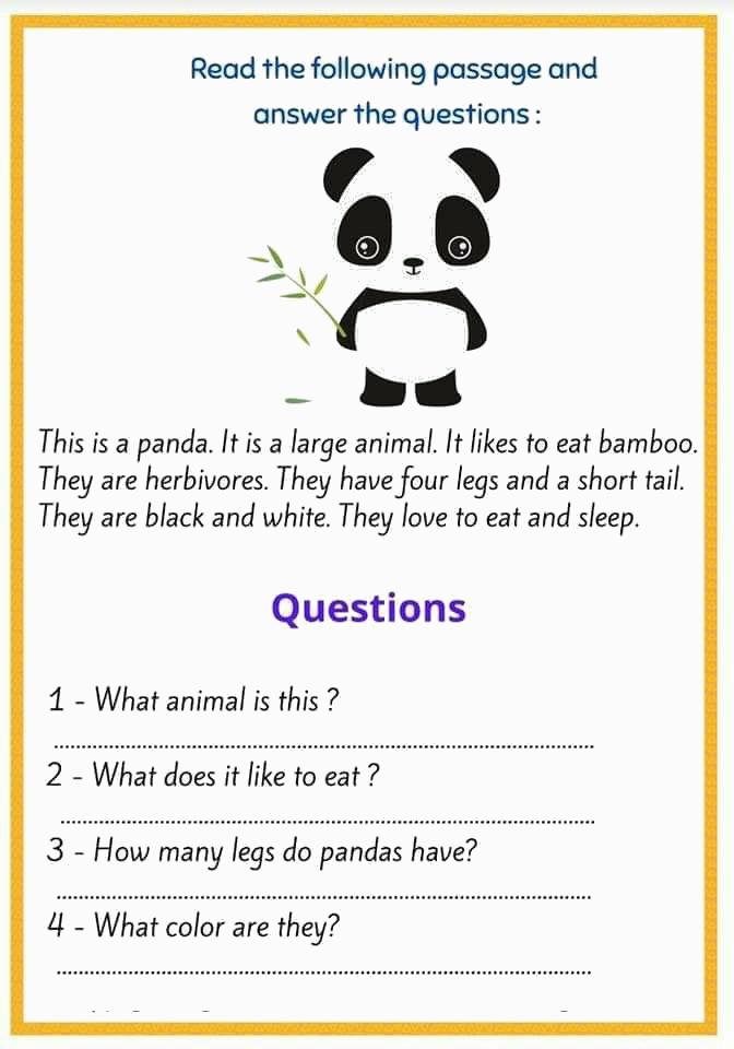 熊猫的英语怎么说的相关图片