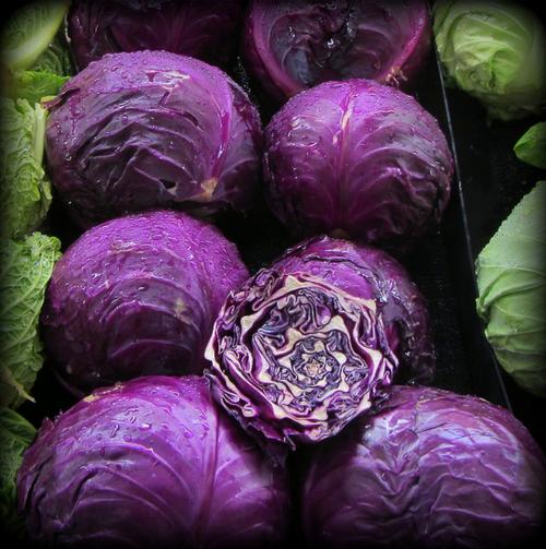 紫色包菜叫什么的相关图片