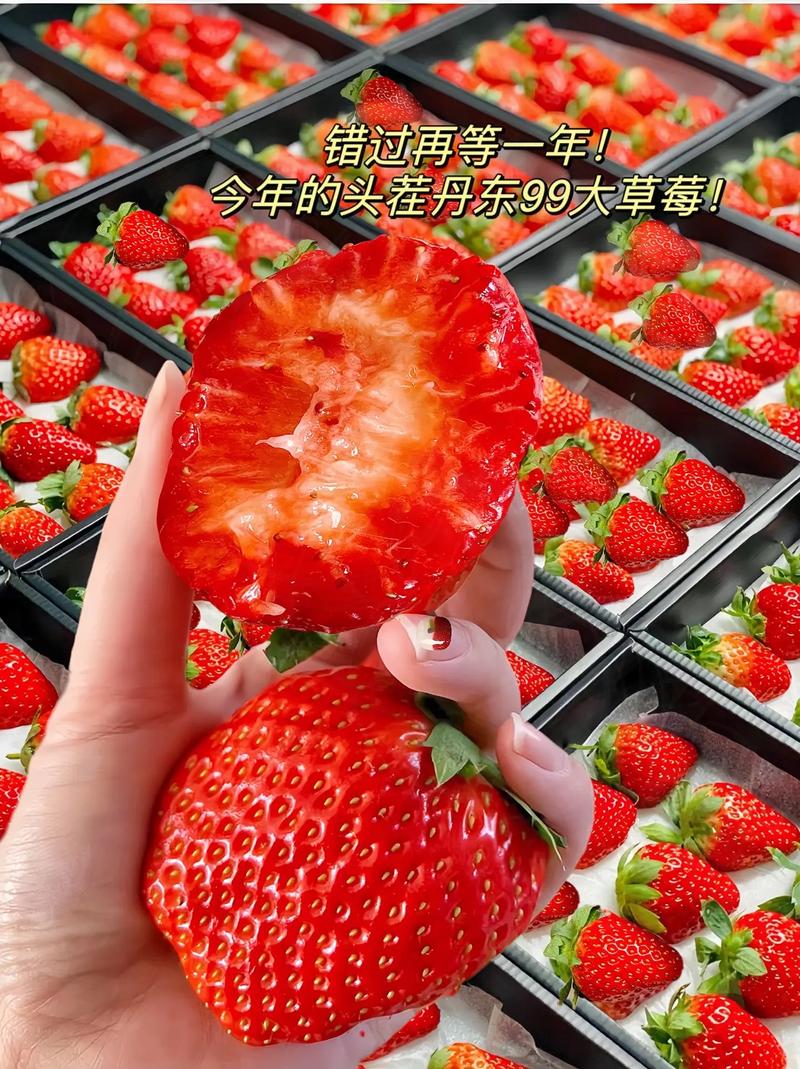 草莓可以放多久的相关图片