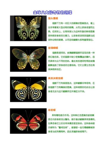 蝴蝶百科大全的相关图片