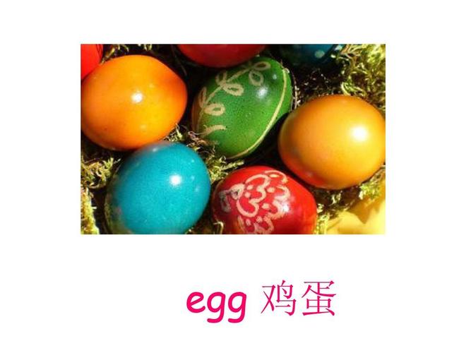 鸡蛋的英语的相关图片